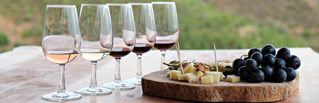 Enoturismo na Europa: os melhores destinos para amantes de vinho