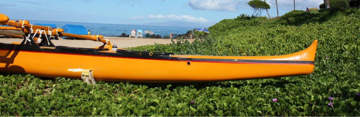 Passeio de canoa havaiana com golfinhos
