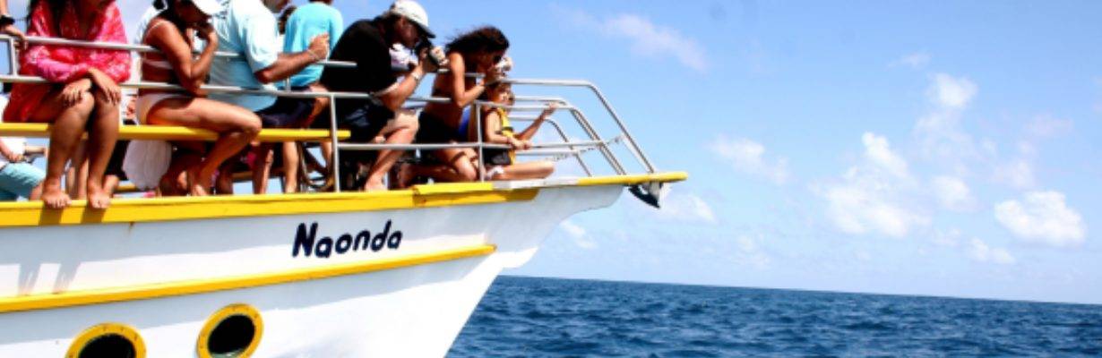 Passeio de barco com mergulho no Sancho