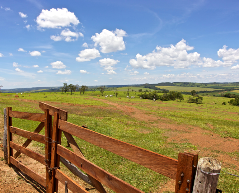 Fazendas de Brasília
