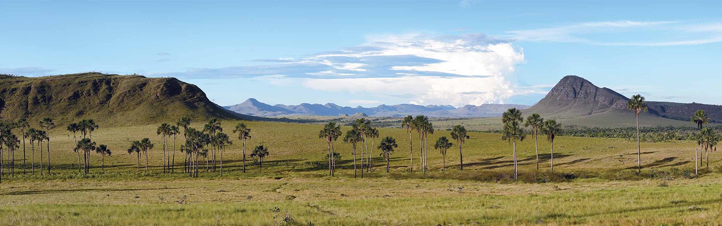 Roteiro Chapada dos Veadeiros: 4, 7 e 10 dias