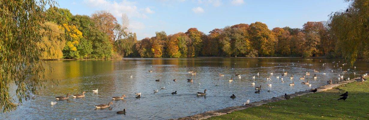 Englischer Garten, a maior área verde de Munique