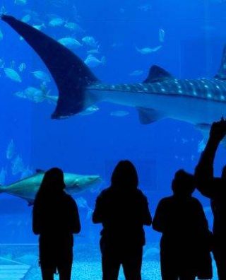 Oceanário de Lisboa