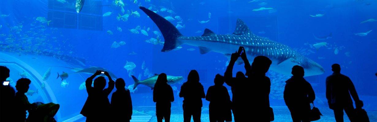 Oceanário de Lisboa