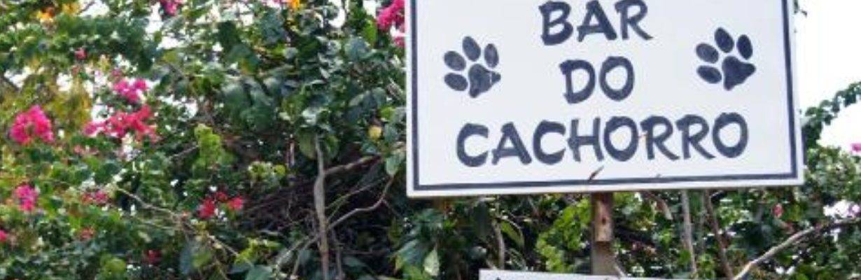Terminal Turístico do Cachorro