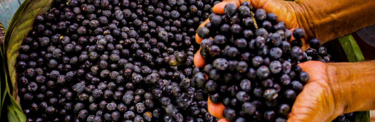 Sabores do Brasil estão entre os 100 melhores sorvetes do mundo
