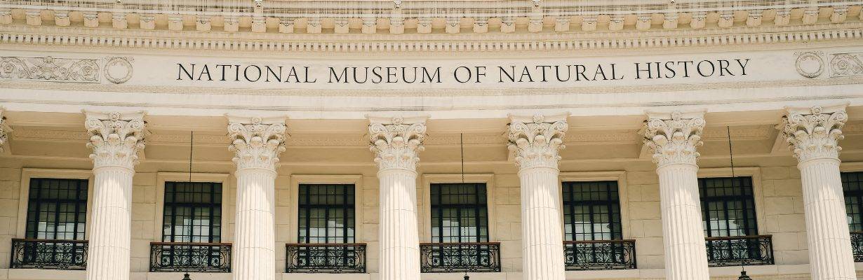 American Museum of Natural History