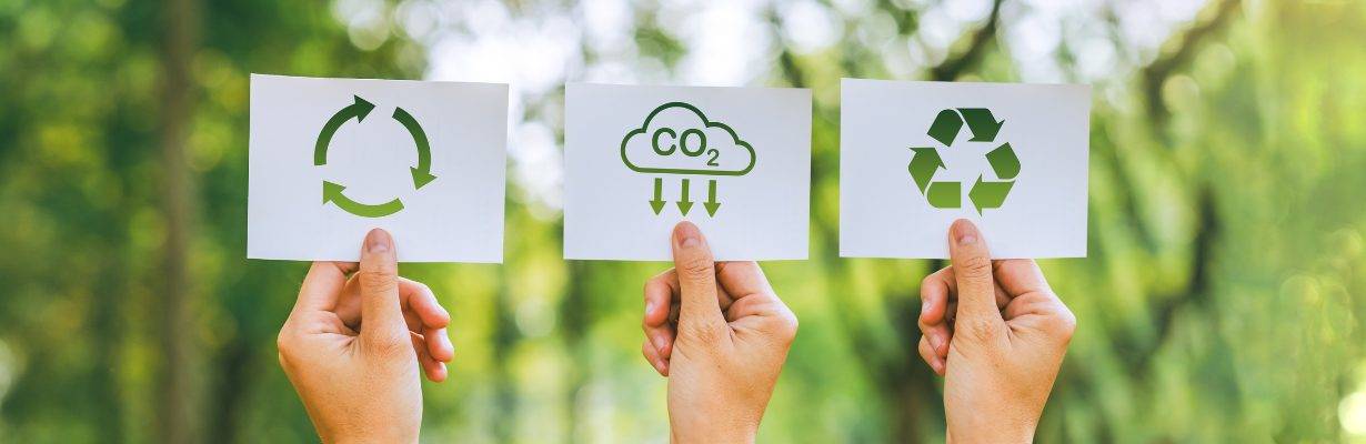 Sustentabilidade e oportunidade: o Brasil se prepara para o G20 e a COP30