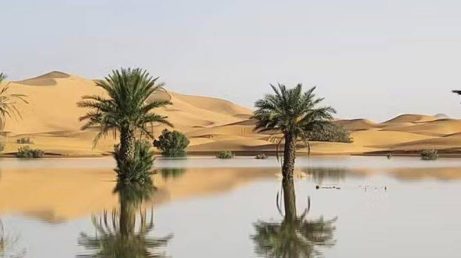 Deserto alagado! Entenda o que aconteceu no Saara