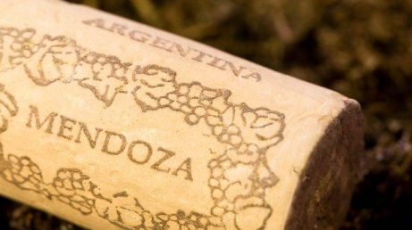 4 vinícolas imperdíveis em Mendoza na Argentina