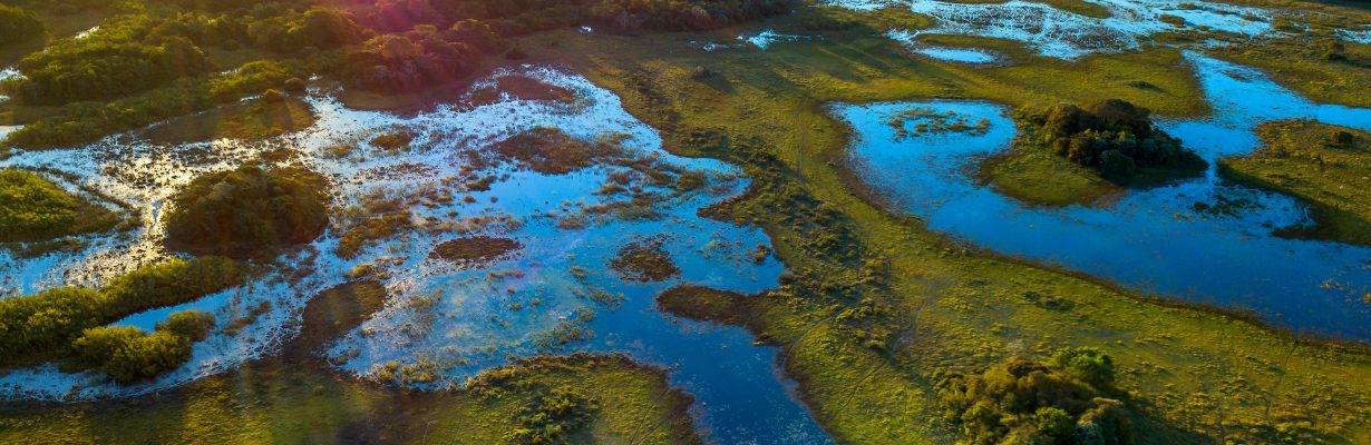 O futuro do Pantanal: ameaças, impactos e o caminho para a recuperação