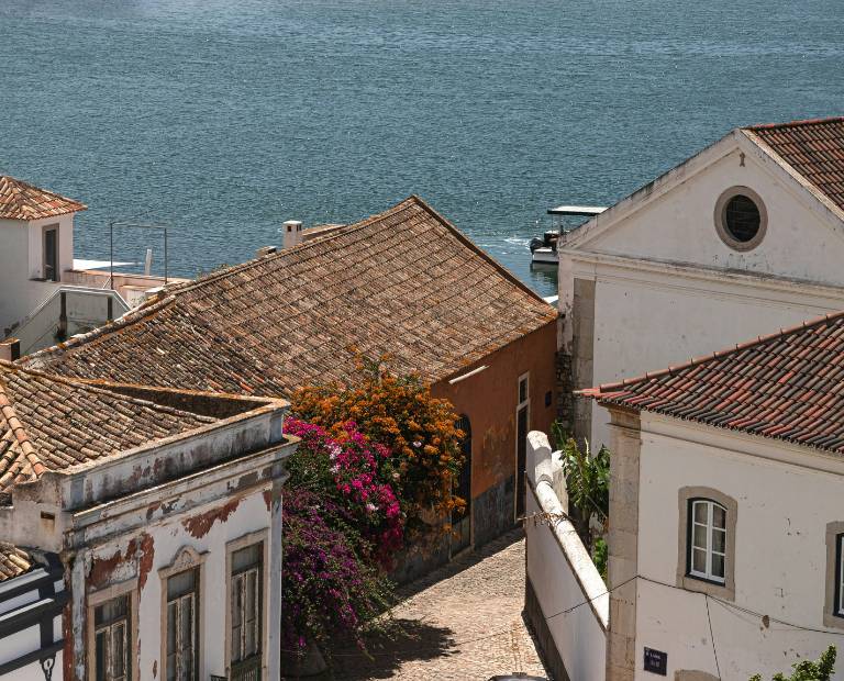Faro