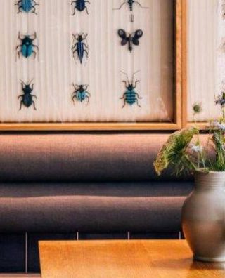 Libertine Lindenberg