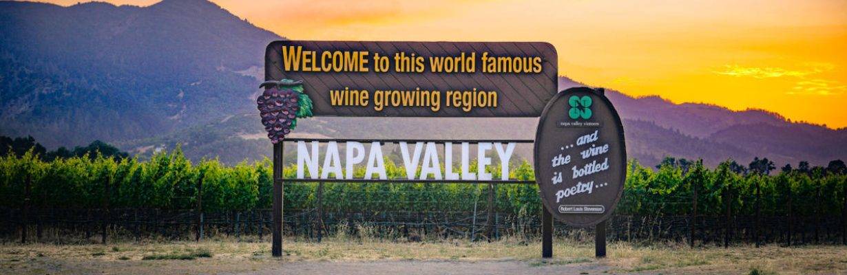 Da Serra Gaúcha para o Napa Valley: Primeira produção de vinho brasileiro