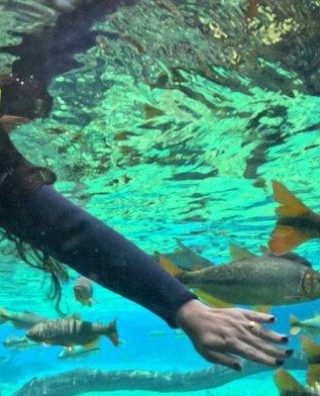 Recanto Ecológico Rio da Prata