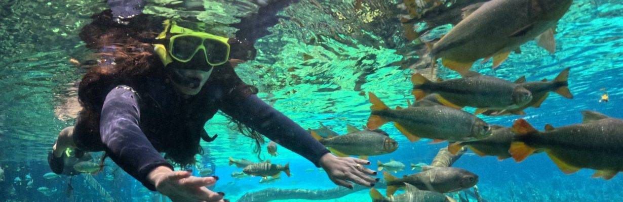 Recanto Ecológico Rio da Prata