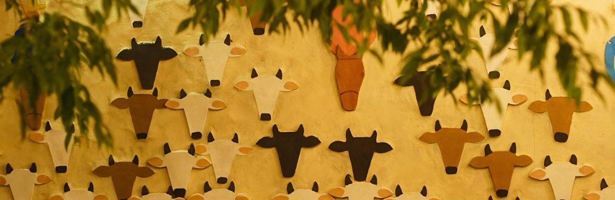 Bacuri Cozinha Regional