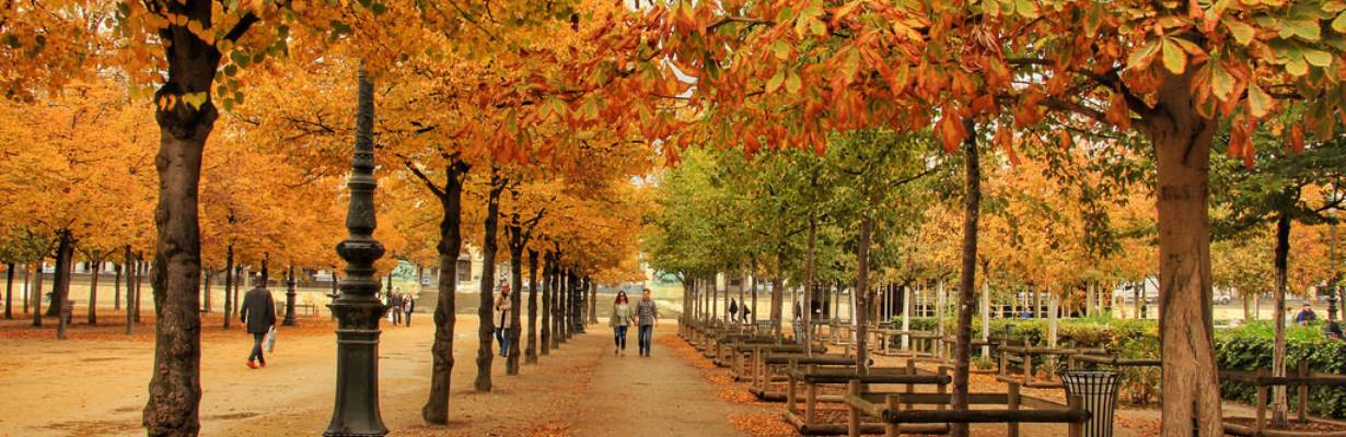 Para onde viajar no outono? Veja a lista da Travel