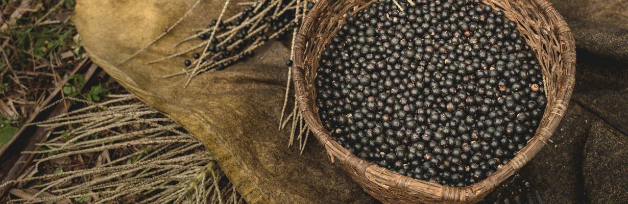 Guia dos sabores de Belém: da gastronomia típica aos melhores restaurantes