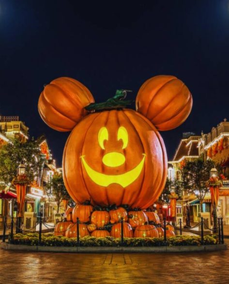 Outono na Disney 2025: festa de Halloween e experiências gastronômicas imperdíveis