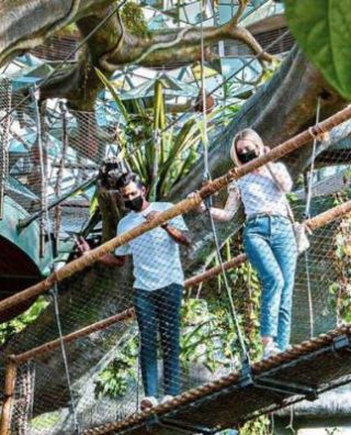 The Green Planet Dubai