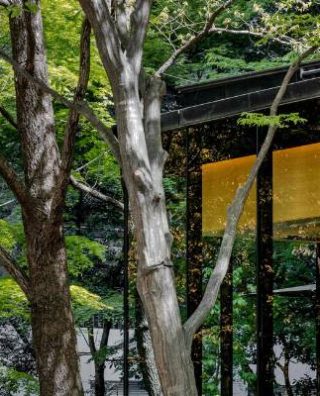 Aman Tokyo