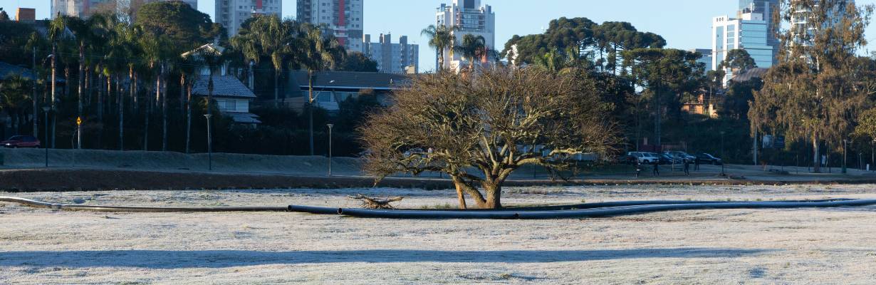 Festival de Inverno de Curitiba começa com atrações gastronômicas e culturais