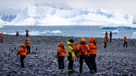 Quanto custa fazer um cruzeiro pela Antártica? Planeje sua viagem para 2025