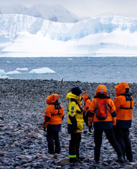 Quanto custa fazer um cruzeiro pela Antártica? Planeje sua viagem para 2025