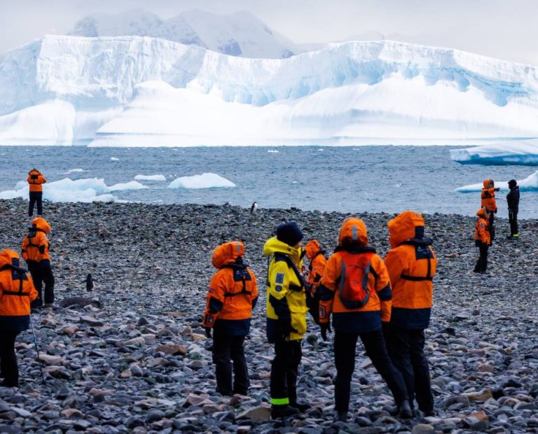 Quanto custa fazer um cruzeiro pela Antártica? Planeje sua viagem para 2025