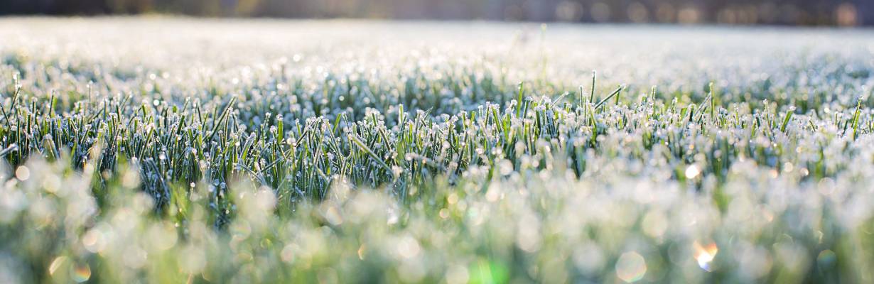 Alerta de temperatura negativa em Gramado! Hoje inicia oficialmente o inverno