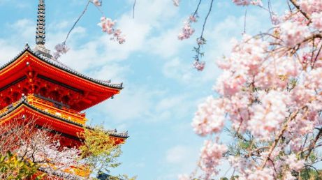 As melhores atrações de Kyoto reunidas em uma matéria super completa para você conhecer uma das cidades mais incríveis do Japão.