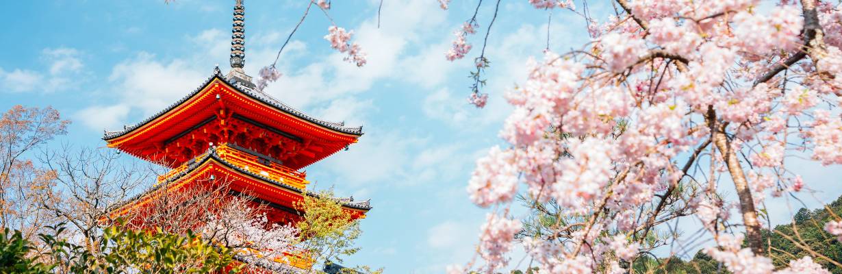 O que fazer em Kyoto: 10 atrações imperdíveis para incluir no seu roteiro