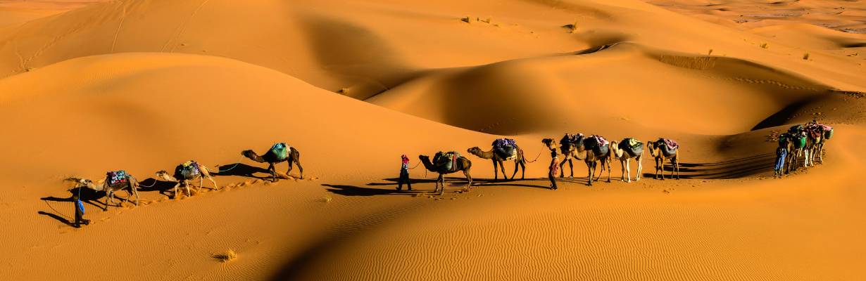 Como é o passeio no deserto de Dubai: tudo o que você precisa saber