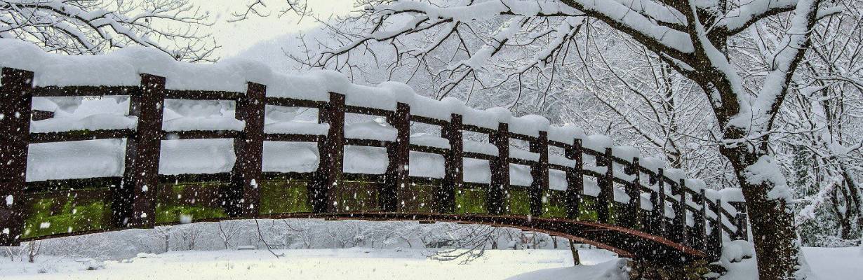 Neve no Brasil: saiba onde e quando ver