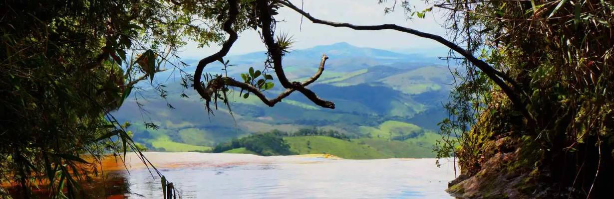 Semana do Meio Ambiente 2025: Programação em quatro parques brasileiros