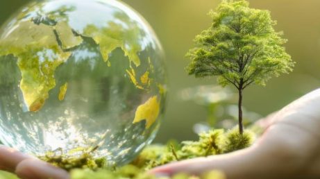 Dia da Conservação da Natureza: 5 viagens no Brasil que ajudam o planeta