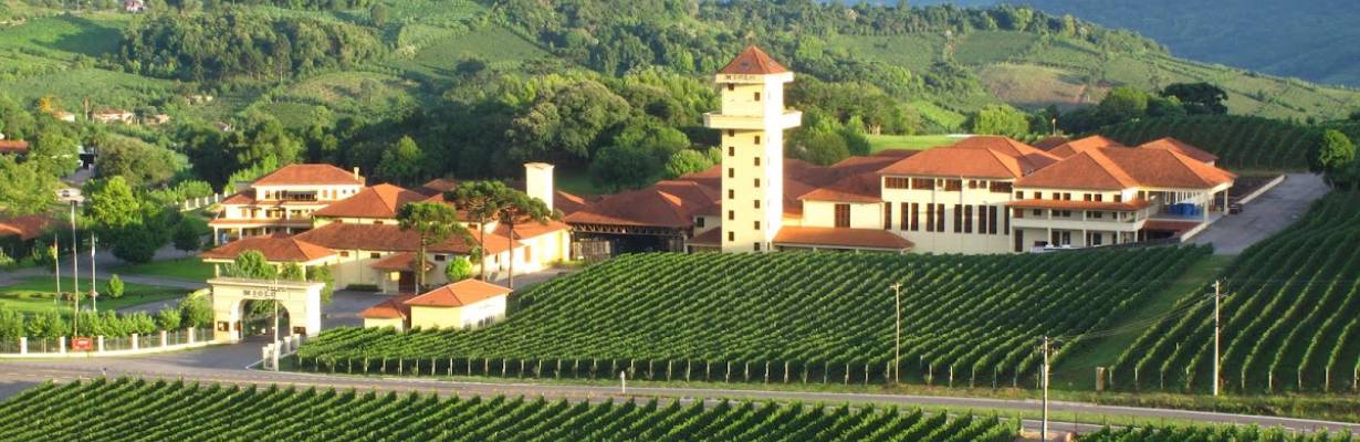 Já conhece a Toscana brasileira? Explore a rota do azeite e vinho