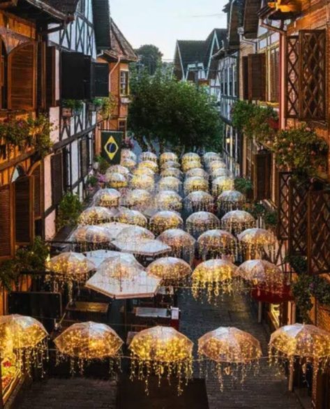 Festival de Inverno de Campos do Jordão terá orquestras e experiências ao ar livre