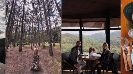 Monte Verde: miniguia definitivo para a sua viagem em 2026