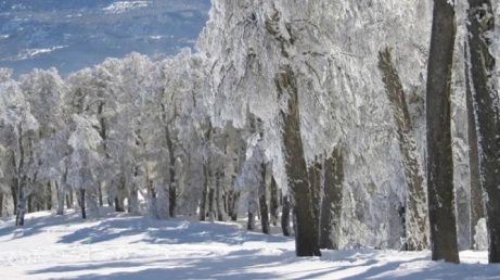 Onda de frio quebra recordes de mais de 60 anos na Argentina