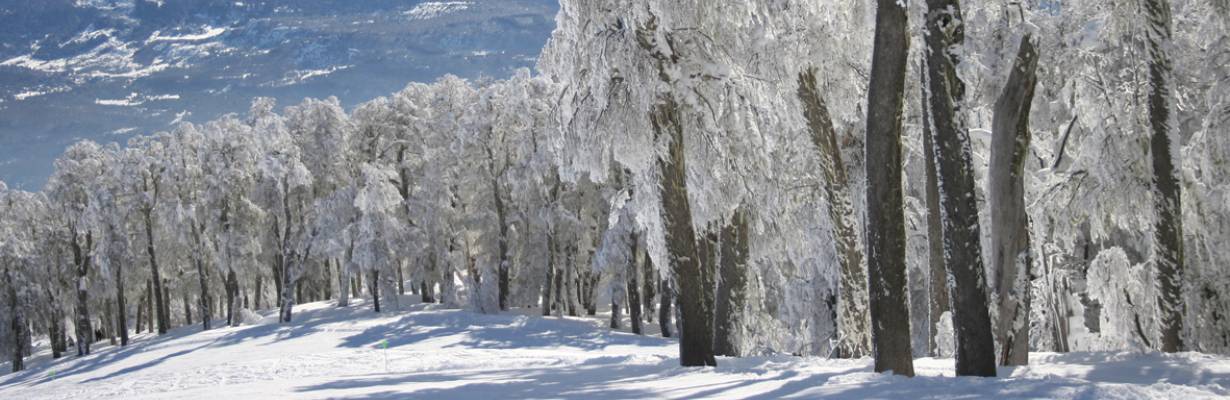 Onda de frio quebra recordes de mais de 60 anos na Argentina
