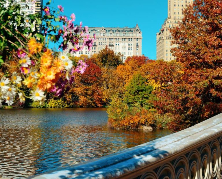 De piscina a pista de gelo no inverno: Central Park ganha atração grátis e versátil