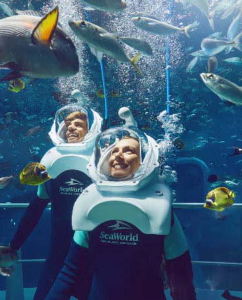 Quer caminhar no fundo do mar? Experimente o Underwater Walking Tour em Abu Dhabi