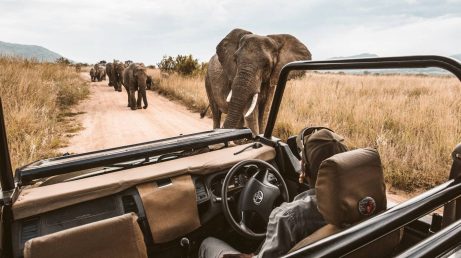 Do palácio em Veneza ao safári na África: o boom do turismo experiencial de luxo