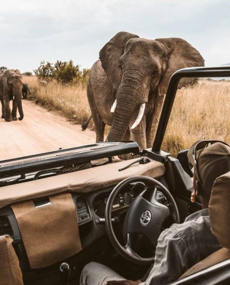 Do palácio em Veneza ao safári na África: o boom do turismo experiencial de luxo