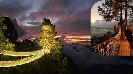 Ponte suspensa iluminada de Oaxaca: como visitar o atrativo mais famoso de San José del Pacífico