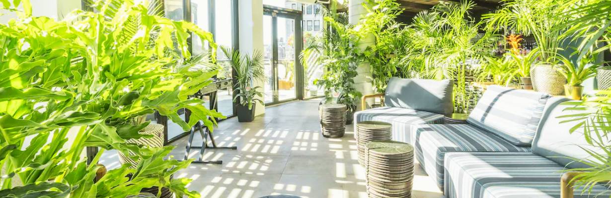 5 sugestões de hotéis baratos em Nova York