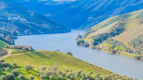 Douro é eleito a melhor região de vinhos do mundo em 2025