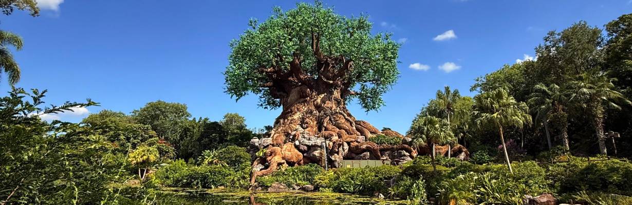 As 10 melhores atrações no Disney's Animal Kingdom